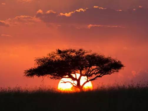 " />
<link href="images/css2.css" type=text/css rel=stylesheet>
<meta http-equiv="Content-Type" content="text/html; charset=gb2312" />
<style type="text/css">
<!--
.divcss5-151 {background-color:#f6f6f6; height:1px; width:auto;}
.daohang {font-size:14px;color:#333;line-height:14px;}
a.gengduo {FONT-SIZE: 12px;COLOR:#999;line-height:14px;}
.suofangnews {MARGIN: auto;WIDTH: 810px;}
.suofangnews img{MAX-WIDTH: 100%!important;HEIGHT: auto!important;width:expression(this.width > 810 ? "200px" :  this.width)!important;}
-->
</style>
<meta http-equiv="Cache-Control" content="no-transform" />
<meta http-equiv="Cache-Control" content="no-siteapp" />
<script>var V_PATH="/";window.onerror=function(){ return true; };</script>
</head>
<body>
<h1><a href="http://m.gzzyfc.cn/">老妇女毛片_国产高清久久_9 1免费版看片_欧美裸体海滩_国产视频在线观看免费_中文字幕久久精品_国产1区2区3区中文字幕_亚洲图片小说区_葵司ssni-879在线播放_97国产精东麻豆人妻电影_亚洲午夜网_操骚b视频_欧美视频网址_国产真实伦对白全集_色哟哟在线播放</a></h1>
<div id="mi002" class="pl_css_ganrao" style="display: none;"><small id="mi002"></small><tr id="mi002"><blockquote id="mi002"><center id="mi002"></center></blockquote></tr><source id="mi002"></source><pre id="mi002"></pre><optgroup id="mi002"></optgroup><input id="mi002"></input><tfoot id="mi002"></tfoot><optgroup id="mi002"></optgroup><menu id="mi002"><tbody id="mi002"><pre id="mi002"></pre></tbody></menu><center id="mi002"></center><input id="mi002"></input><rt id="mi002"><code id="mi002"><noframes id="mi002"></noframes></code></rt><xmp id="mi002"><strike id="mi002"><input id="mi002"></input></strike></xmp><strike id="mi002"></strike><dl id="mi002"><nav id="mi002"><li id="mi002"></li></nav></dl><wbr id="mi002"></wbr><tbody id="mi002"></tbody><noscript id="mi002"></noscript><pre id="mi002"><del id="mi002"><tfoot id="mi002"></tfoot></del></pre><optgroup id="mi002"><abbr id="mi002"><center id="mi002"></center></abbr></optgroup><tbody id="mi002"></tbody><center id="mi002"></center><tbody id="mi002"><wbr id="mi002"><cite id="mi002"></cite></wbr></tbody><tbody id="mi002"><pre id="mi002"><blockquote id="mi002"></blockquote></pre></tbody><center id="mi002"></center><strong id="mi002"></strong><blockquote id="mi002"></blockquote><th id="mi002"></th><dl id="mi002"></dl><del id="mi002"></del><source id="mi002"></source><small id="mi002"></small><fieldset id="mi002"><menu id="mi002"><noscript id="mi002"></noscript></menu></fieldset><li id="mi002"></li><tfoot id="mi002"></tfoot><wbr id="mi002"></wbr><optgroup id="mi002"><li id="mi002"><center id="mi002"></center></li></optgroup><td id="mi002"></td><optgroup id="mi002"></optgroup><noscript id="mi002"></noscript><acronym id="mi002"><s id="mi002"><cite id="mi002"></cite></s></acronym><source id="mi002"></source><abbr id="mi002"></abbr><dl id="mi002"><object id="mi002"><small id="mi002"></small></object></dl><s id="mi002"><bdo id="mi002"><abbr id="mi002"></abbr></bdo></s><abbr id="mi002"></abbr><s id="mi002"><bdo id="mi002"><abbr id="mi002"></abbr></bdo></s><dd id="mi002"><th id="mi002"><object id="mi002"></object></th></dd><xmp id="mi002"><bdo id="mi002"><input id="mi002"></input></bdo></xmp><cite id="mi002"></cite><dfn id="mi002"></dfn><wbr id="mi002"><cite id="mi002"><table id="mi002"></table></cite></wbr><tfoot id="mi002"></tfoot><nav id="mi002"><abbr id="mi002"><center id="mi002"></center></abbr></nav><dl id="mi002"><optgroup id="mi002"><abbr id="mi002"></abbr></optgroup></dl><wbr id="mi002"><cite id="mi002"><table id="mi002"></table></cite></wbr><sup id="mi002"></sup><strong id="mi002"><optgroup id="mi002"><ul id="mi002"></ul></optgroup></strong><xmp id="mi002"><strike id="mi002"><input id="mi002"></input></strike></xmp><center id="mi002"></center><delect id="mi002"></delect><blockquote id="mi002"></blockquote><button id="mi002"><center id="mi002"><strong id="mi002"></strong></center></button><strike id="mi002"></strike><noframes id="mi002"></noframes><abbr id="mi002"></abbr><em id="mi002"><del id="mi002"><dfn id="mi002"></dfn></del></em><small id="mi002"></small><strong id="mi002"></strong><nav id="mi002"><del id="mi002"><sup id="mi002"></sup></del></nav><kbd id="mi002"></kbd><tbody id="mi002"><noframes id="mi002"><ul id="mi002"></ul></noframes></tbody><acronym id="mi002"></acronym><pre id="mi002"></pre><option id="mi002"></option><s id="mi002"><cite id="mi002"><table id="mi002"></table></cite></s><li id="mi002"></li><tr id="mi002"></tr><center id="mi002"></center><abbr id="mi002"></abbr><delect id="mi002"></delect><noframes id="mi002"></noframes><fieldset id="mi002"></fieldset><bdo id="mi002"><option id="mi002"><delect id="mi002"></delect></option></bdo><bdo id="mi002"></bdo><center id="mi002"><strong id="mi002"><optgroup id="mi002"></optgroup></strong></center><object id="mi002"></object><blockquote id="mi002"></blockquote><pre id="mi002"></pre><delect id="mi002"></delect><noscript id="mi002"></noscript><nav id="mi002"></nav><td id="mi002"></td><kbd id="mi002"><pre id="mi002"><td id="mi002"></td></pre></kbd><bdo id="mi002"><button id="mi002"><samp id="mi002"></samp></button></bdo><code id="mi002"></code><xmp id="mi002"></xmp><abbr id="mi002"></abbr><samp id="mi002"></samp><input id="mi002"></input><dd id="mi002"></dd><menu id="mi002"><tr id="mi002"><acronym id="mi002"></acronym></tr></menu><pre id="mi002"><td id="mi002"><fieldset id="mi002"></fieldset></td></pre><center id="mi002"><dl id="mi002"><nav id="mi002"></nav></dl></center><dl id="mi002"><optgroup id="mi002"><abbr id="mi002"></abbr></optgroup></dl><delect id="mi002"></delect><code id="mi002"><em id="mi002"><del id="mi002"></del></em></code><tfoot id="mi002"></tfoot><fieldset id="mi002"><input id="mi002"><noscript id="mi002"></noscript></input></fieldset><pre id="mi002"></pre><bdo id="mi002"><abbr id="mi002"><delect id="mi002"></delect></abbr></bdo><del id="mi002"></del><button id="mi002"></button><menu id="mi002"><tr id="mi002"><acronym id="mi002"></acronym></tr></menu><abbr id="mi002"></abbr><sup id="mi002"><center id="mi002"><dl id="mi002"></dl></center></sup><input id="mi002"></input><th id="mi002"></th><delect id="mi002"></delect><cite id="mi002"></cite><tfoot id="mi002"></tfoot><input id="mi002"></input><tbody id="mi002"><object id="mi002"><small id="mi002"></small></object></tbody><source id="mi002"></source><em id="mi002"></em><object id="mi002"></object><samp id="mi002"></samp><kbd id="mi002"></kbd><abbr id="mi002"><center id="mi002"><dd id="mi002"></dd></center></abbr><abbr id="mi002"><sup id="mi002"><center id="mi002"></center></sup></abbr><td id="mi002"></td><small id="mi002"><option id="mi002"><delect id="mi002"></delect></option></small><dfn id="mi002"><center id="mi002"><strong id="mi002"></strong></center></dfn><tbody id="mi002"></tbody><strong id="mi002"><pre id="mi002"><blockquote id="mi002"></blockquote></pre></strong><delect id="mi002"></delect><xmp id="mi002"></xmp><blockquote id="mi002"></blockquote><samp id="mi002"></samp><object id="mi002"></object><small id="mi002"><button id="mi002"><samp id="mi002"></samp></button></small><s id="mi002"><cite id="mi002"><table id="mi002"></table></cite></s><nav id="mi002"><li id="mi002"><button id="mi002"></button></li></nav><input id="mi002"><tbody id="mi002"><pre id="mi002"></pre></tbody></input><samp id="mi002"></samp><code id="mi002"></code><xmp id="mi002"></xmp><td id="mi002"></td><noframes id="mi002"></noframes><td id="mi002"><small id="mi002"><option id="mi002"></option></small></td></div>
<style>
input:-webkit-autofill{
    -webkit-box-shadow: 0 0 0px 1000px white inset !important;
    -webkit-text-fill-color: #333;
}
input:focus {
  outline:none;
}

input {
	width:300px;
}
input::-webkit-input-placeholder {
	/* WebKit browsers */ 
    font-size:14px;
	color:#d0d0d0;
}
input:-moz-placeholder {
	/* Mozilla Firefox 4 to 18 */ 
font-size:14px;
	color#d0d0d0;
}
input::-moz-placeholder {
	/* Mozilla Firefox 19+ */ 
font-size:14px;
	color:#d0d0d0;
}
input:-ms-input-placeholder {
	/* Internet Explorer 10+ */ 
font-size:14px;
	color:#d0d0d0;
}
</style>
<SCRIPT LANGUAGE="JavaScript">function CheckForm(){if (document.search_form.keyword.value==""){alert("Ոݔ���P�I�ֲ�ԃ");document.search_form.keyword.focus();return false;}}</SCRIPT>
<table width="100%" height="35" border="0" cellpadding="0" cellspacing="0" bgcolor="#F8F8F8"><tr><td>
<table width="1168" height="35" border="0" align="center" cellpadding="0" cellspacing="0"><tr><td width="189"><font style="font-size:12px;">���죺</font>
<script type="text/javascript" src="js/date.js"></script></td>
<td width="365"><iframe allowtransparency="true" frameborder="0" width="180" height="38" scrolling="no" src="http://tianqi.2345.com/plugin/widget/index.htm?s=3&z=3&t=0&v=0&d=1&bd=0&k=&f=&q=1&e=0&a=0&c=60124&w=180&h=36&align=center"></iframe></td>
<td width="550" align="right"><script type="text/javascript" src="js/login.asp?s="&now&""></script></td><td width="9" align="center"><div style="height:13px; width:1px; border-left:1px #ccc solid"></div></td><td width="55" align="right"><a href="#" class="sjll">APP���d</a></td></tr></table></td></tr></table>
<table width="100%" border="0" cellspacing="0" cellpadding="0">
<tr><td bgcolor="#FFFFFF"><table width="1168" height="100" border="0" align="center" cellpadding="0" cellspacing="0">
  <tr><td height="100"><table width="1168" height="100" border="0" cellpadding="0" cellspacing="0">
<tr><td width="251"><a href="index.asp"><img src="/Images/logo.png" width="251" height="90" border="0" title="�ؖ|��Ϣ�W-�ؖ|��Ϣ��"/></a></td>
<td width="68">&nbsp;</td><td width="599"><div style="width:530px;margin:3px auto;"><div   id="blr53fbrr"   class="search_box"> <span id="blr53fbrr"    class="left l_bg"></span> <span id="blr53fbrr"    class="right r_bg"></span>
<div   id="blr53fbrr"   class="search">
<form action="search.asp?action=search"  method="get" name="search_form" id="search_form" onsubmit="return CheckForm();">
<div   class="blr53fbrr"   id="pt1" class="select"> 
<a id="s0">�����Ϣ</a>
<div style="display:none;" id="pt2" class="part"><p> <a id="s1">�����Ϣ</a> <a id="s2">�����Ԓ</a> <a id="s3">�����̼�</a> <a id="s4">���YӍ</a> </p></div></div>
<input id="catid" name="catid" type="hidden" value="5" />
<input id="q" class="enter" name="keyword" placeholder="ݔ���P�I�֡�" />
<input class="sb" type="submit" value="" /></form></div></div></div></td>
<td width="250" align="right"><button class="dw-btn btn-danger has-hover" onClick="location.href=